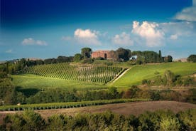 Montalcino: Brunello-wijnproeverij