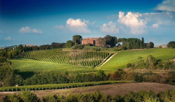 Montalcino: Brunello vinsmakingsopplevelse