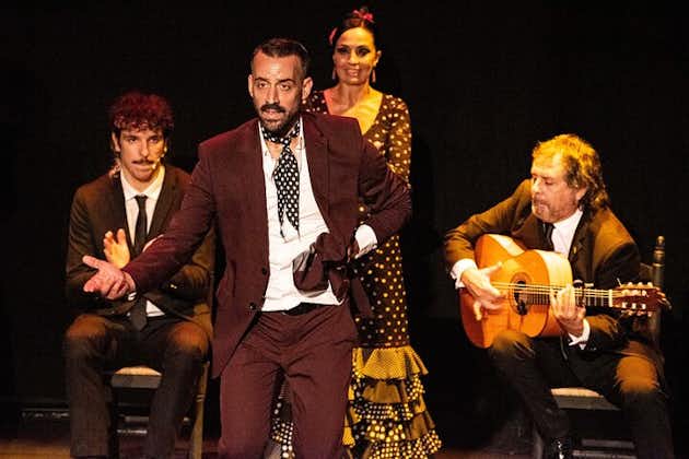 Spectacle de flamenco en direct à Séville