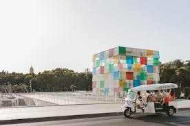 Tour de Bienvenida a Málaga en Eco Tuk Tuk Privado