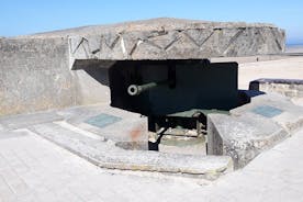 The Normandy Landing Beaches - Private tour