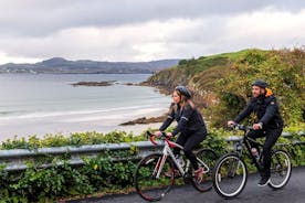 Private day eBiking experience from Westport with lunch. Mayo.