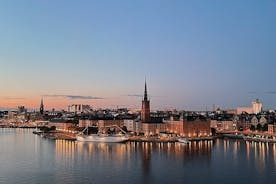 瑞典斯德哥尔摩为期 4 天的欢乐之夜