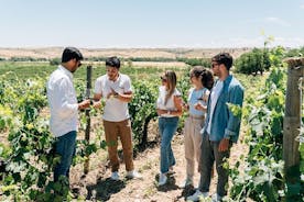 Toledo City Tour & Winery Experience med vinsmaking fra Madrid