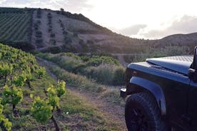Chania Luxury Jeep Safaris: Secrets of Wine & Olive Oil Tastings