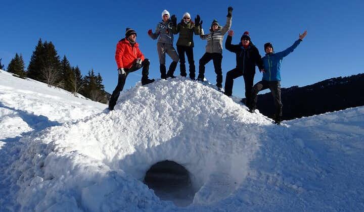  Building an igloo? A child's play!