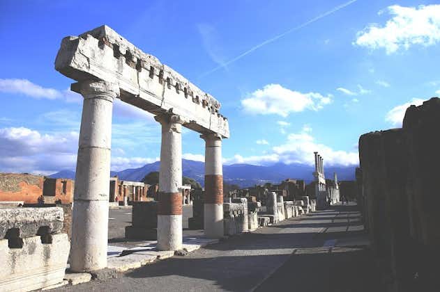 Coupe-file Best of Pompeii Tour & Positano avec Luch au Winefarm