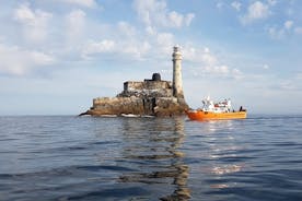 Fastnet Rock Lighthouse & Cape Clear Island Tour från Schull West Cork