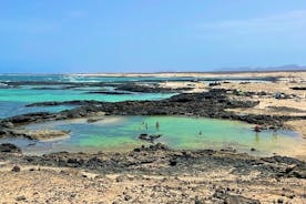 SUURIN YKSITYISKOHTAINEN yksityinen POHJOISKIERTO Fuerteventurassa, 8 hlöä