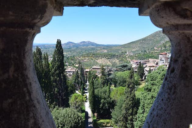 ローマからのチボリプライベートツアー：ヴィラデステとヴィラアドリアーナの美しさ