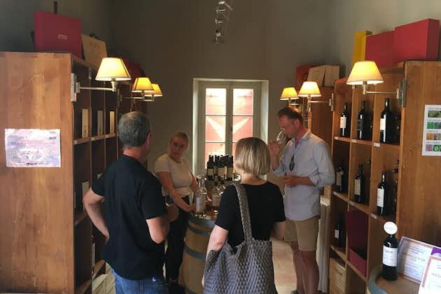 Côtes de Provence Små gruppedagstur med vingårdsbesøg og smagsprøver fra Nice