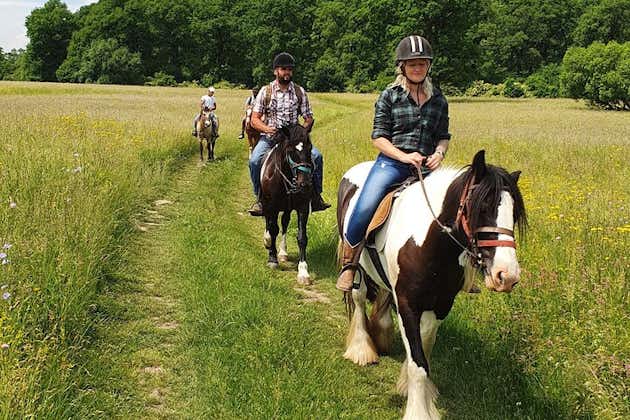 Tour de aventura a caballo por el paisaje de Brasov