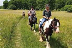 Balade à cheval à travers le paysage de Brasov