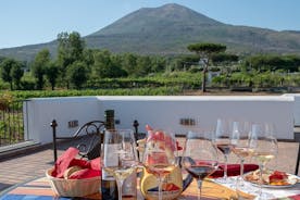 Pompeii Vesuvius Day Tour from Naples with Italian Lunch and Wine