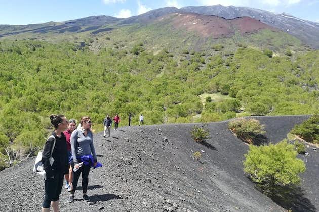 Excursion d’une demi-journée au mont Etna