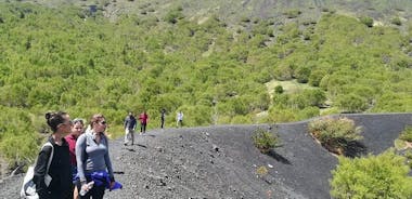 Etna-vuoren puolen päivän kierros - Pienet ryhmät Taorminasta