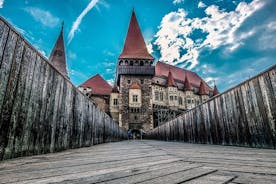 De Sibiu: excursion d'une journée à la forteresse dace, au château de Hunyadi et à la citadelle d'Alba Iulia