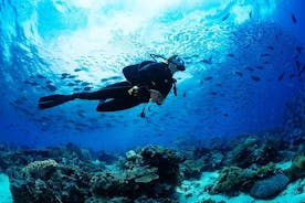 Halvdags Scuba Diving Experience i Oludeniz