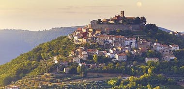 Motovun Half-Day Tour with Truffle Tasting from Pula