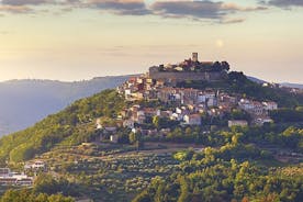 Motovun Half-Day Tour with Truffle Tasting from Pula