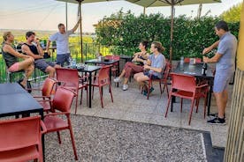 Discover the Lands of Custoza with E-bike and Wine Tasting
