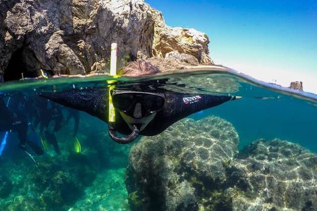 Eco-snorkeling aux îles Medes