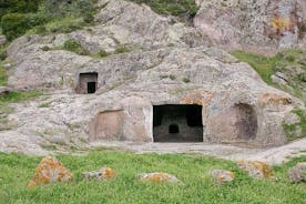Cagliari: Full-Day Private Tour of Prehistoric Sardinian from Chia