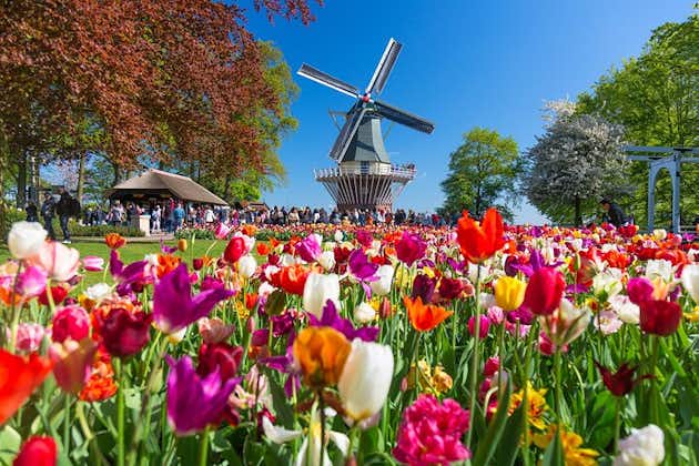 Fast Track Keukenhof Gardens from Amsterdam by Private Car