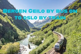 Train and Bus Tour from Bergen to Oslo via Hardangervidda/Fjord