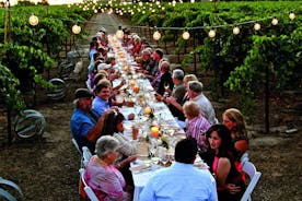 Cena en los viñedos de Chianti desde Florencia