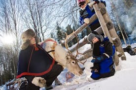 In Pursuit of Reindeer - Snowmobile safari to reindeer farm in Rovaniemi
