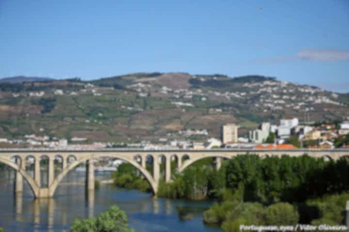 Лучшие дорожные приключения в Песо-да-Регуа, Португалия