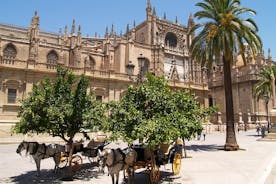 Monumenten van Sevilla: Kathedraal, Alcazar en de Giralda met tickets 