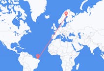 Flyrejser fra Fortaleza, Brasilien til Luleå, Sverige