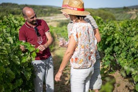 Small-Group Half-Day Languedoc Wine Tour from Sète