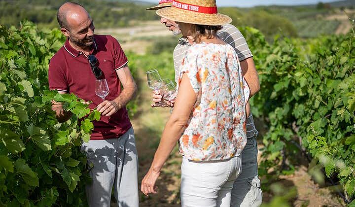 Tour privado de vino de Languedoc de medio día desde Sète
