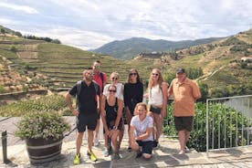 Douro Valley Tour: Vinprovning, flodkryssning och lunch från Porto