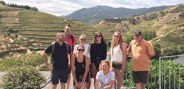 Tour della valle del Douro: Degustazione di vini, crociera sul fiume e pranzo, da Porto
