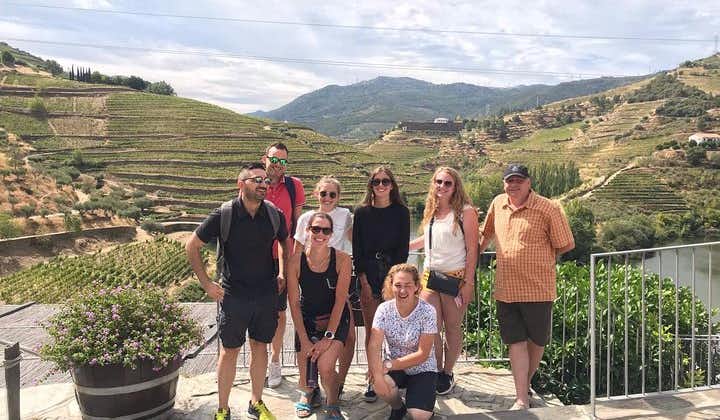 Douro Valley Tour: Vinsmagning, flodkrydstogt og frokost fra Porto