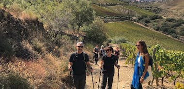 Private walking tour and wine tasting in Douro Quinta dos Murças