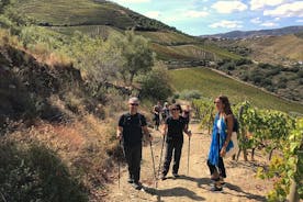 Private walking tour and wine tasting in Douro Quinta dos Murças