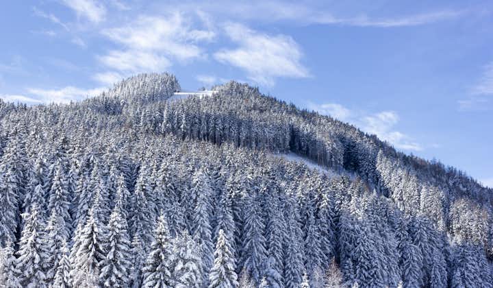 Photo of the Rittisberg mountain with snow covered trees and fair weather during winter in Ramsau am Dachstein, Austria.