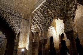 Heimsæktu Alhambra á kvöldin (10 manns)