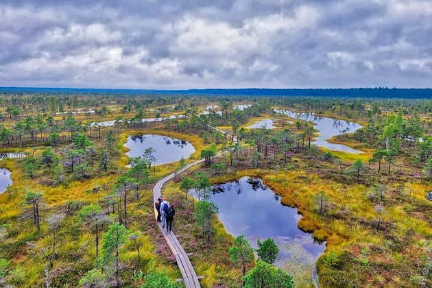 Fra Riga: Det bedste fra Kemeri National Park på én dag