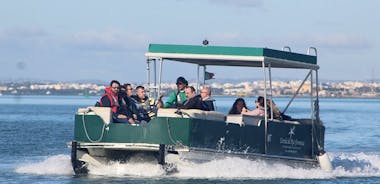 3 Islands Boat Tour in Ria Formosa Nature Park from Faro, Portugal