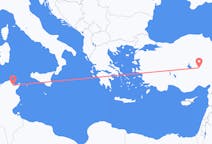 出发地 突尼斯出发地 突尼斯目的地 土耳其Nevsehir的航班