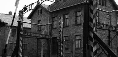 Day Trip to Auschwitz-Birkenau and Wieliczka Salt Mine from Krakow including Lunch