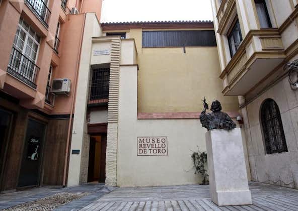 Museo Revello de Toro, Centro Histórico, Centro, Málaga, Málaga-Costa del Sol, Malaga, Andalusia, Spain