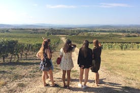 Excursión privada de un día a la ciudad de Carcasona y cata de vinos desde Toulouse