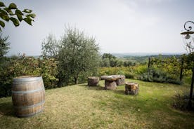 Weintour-Erlebnis bei Agricola Tamburini